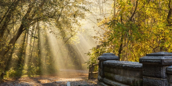 Forbidden Drive | Photo courtesy Circuit Trails