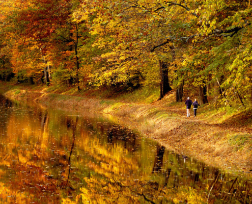 View of a Bucks County Trail in the fall