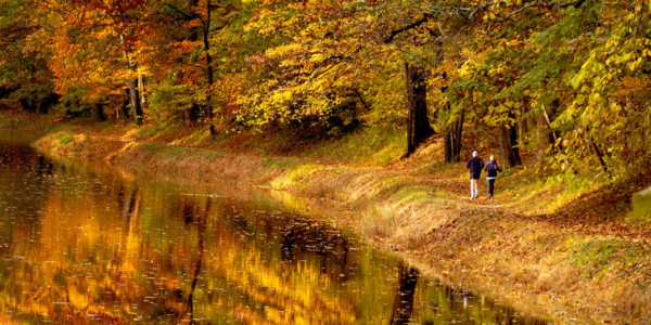 View of a Bucks County Trail in the fall