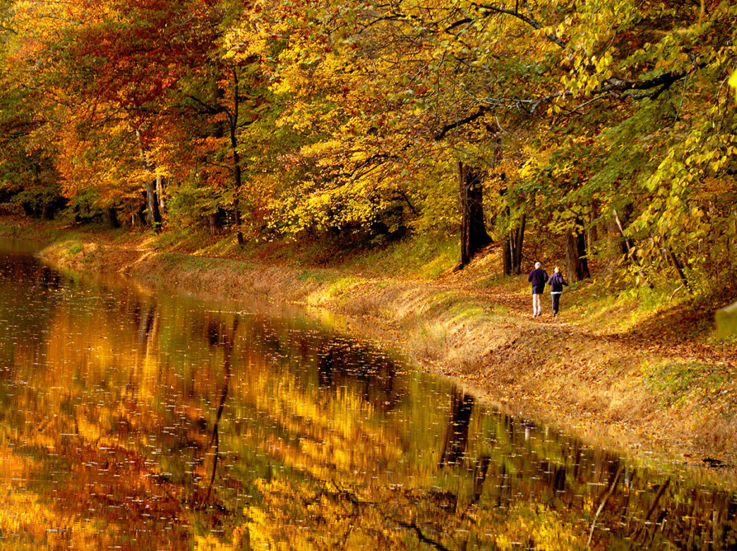 View of a Bucks County Trail in the fall