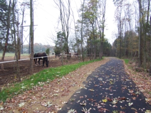 Skippack Trail | Photo by TrailLink user jcginnis12