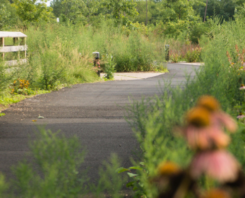 Delaware River Trail