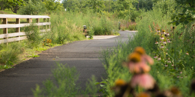 Delaware River Trail