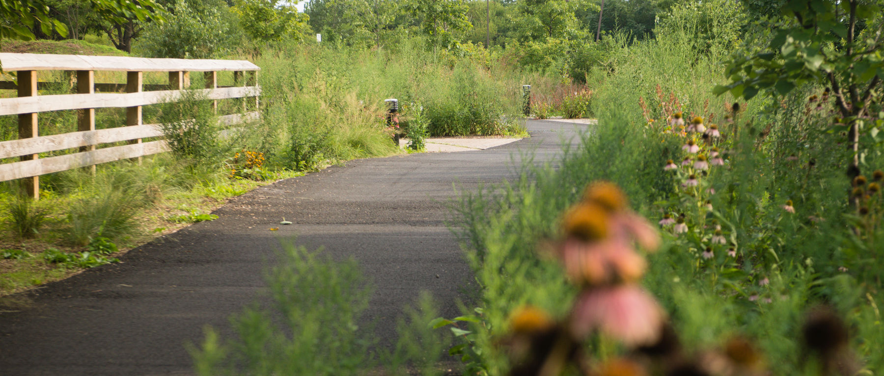 Delaware River Trail