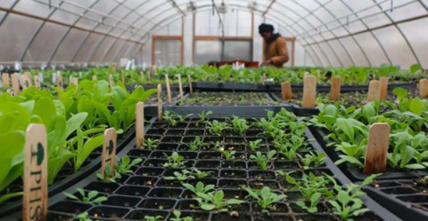 Bartram’s Garden Horticulture Volunteer Day
