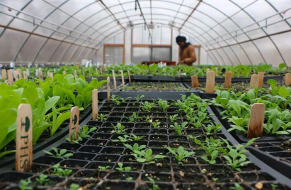 Horticulture Volunteer Day