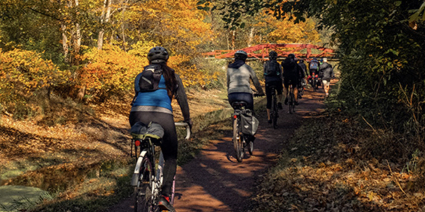 Bikeout | Photo by Emily Townsend
