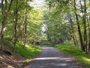 Chester Valley Trail Celebrate Trails Day copy