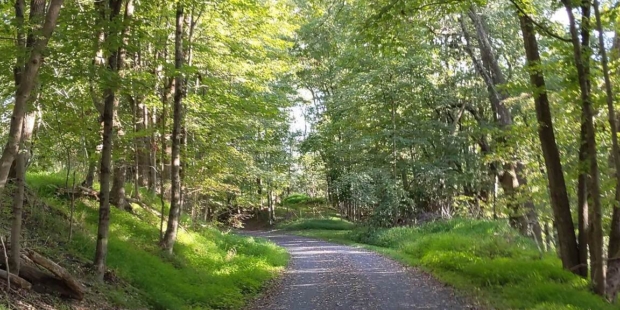 Chester Valley Trail Celebrate Trails Day copy