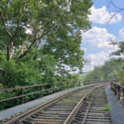 The current status of the Mule bridge, a rail bridge with trees on both sides