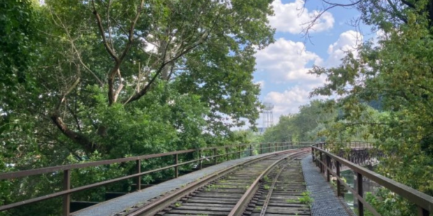 The current status of the Mule bridge, a rail bridge with trees on both sides