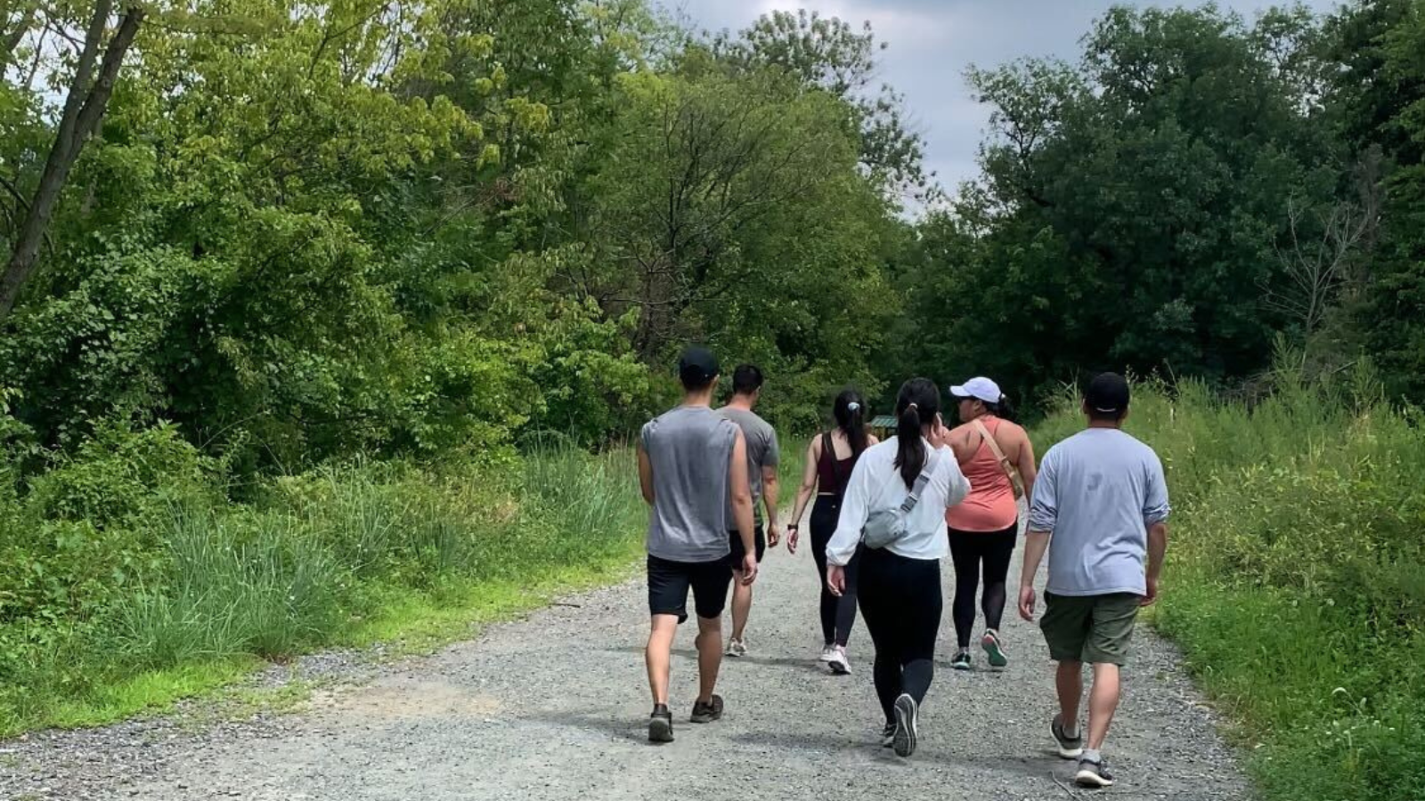 group of men and women walking along a gravel trail between rows of trees
