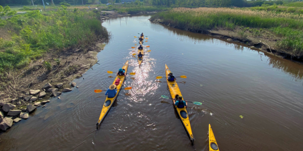 people in five yellow tandem kayaks paddling down the river