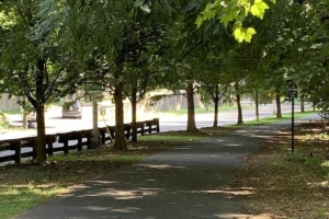Cobbs Creek Trail - Photo by TrailLink user songsop