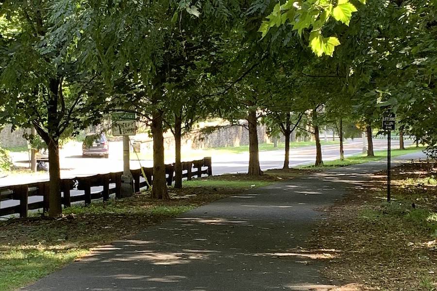 Cobbs Creek Park Cleanups (Florence Ave & Cobbs Creek Pkwy) with Rich