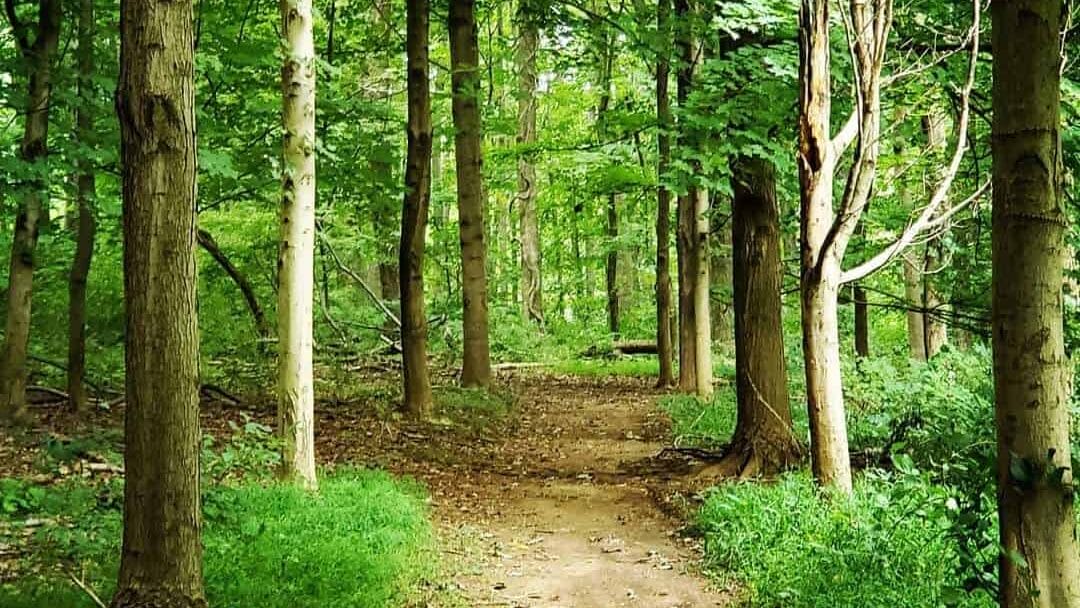 Secrets of Sadsbury Woods Hike