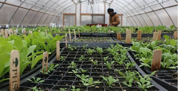 Horticulture Volunteer Day