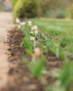 Bartram's Garden: Little Explorers: Grow It!