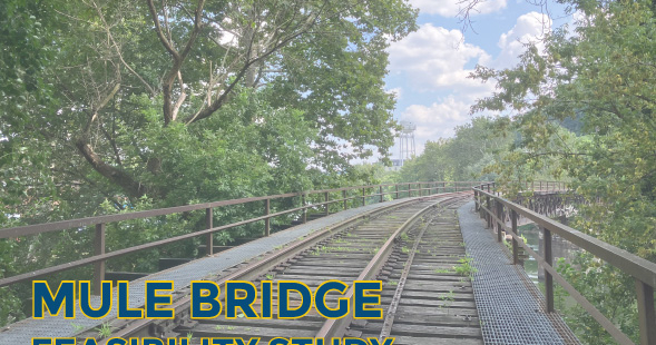 Mule Bridge Feasibility Study