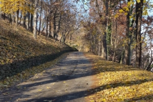 Pencoyd Trail | Photo by TrailLink user rcpat