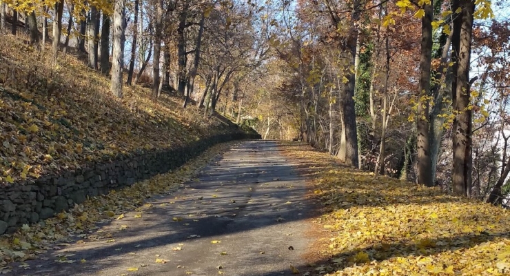 Pencoyd Trail | Photo by TrailLink user rcpat