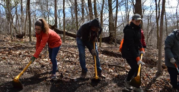 Restoration Volunteer Work Day