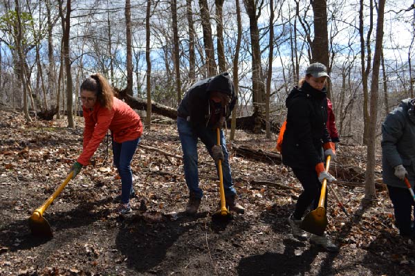 Restoration Volunteer Work Day