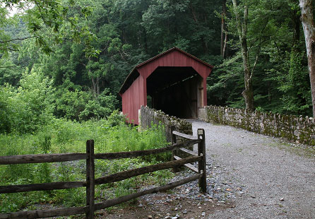 STEWARDSHIP WALK AT THE LAURELS PRESERVE