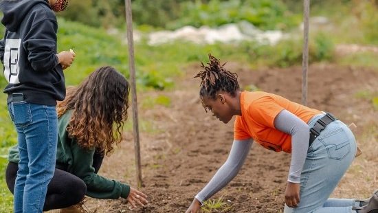 Sankofa Community Farm Volunteer Day