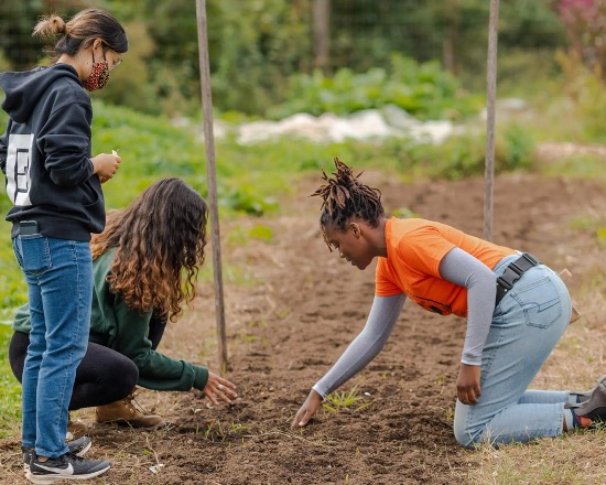 Sankofa Community Farm Volunteer Day
