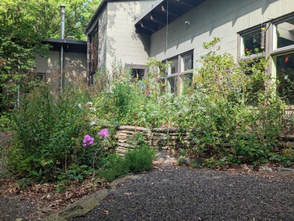 Volunteer: Native Planters at Schuylkill Center for Environmental Education