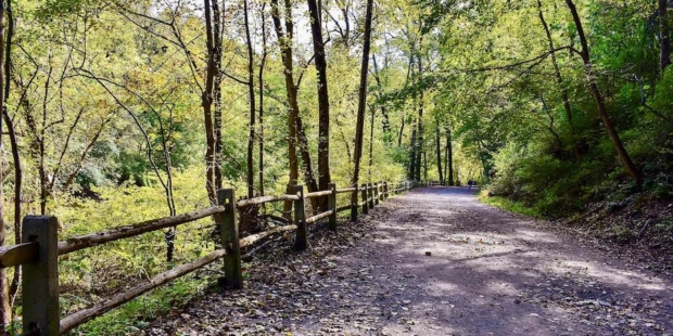 Wissahickon Valley Park Trail System | Photo by TrailLink user popsknox