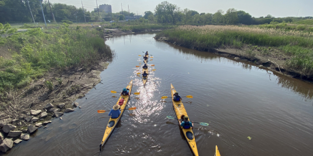 four yellow kayaks in the river