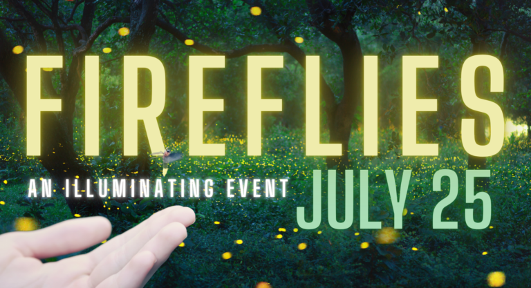 Fireflies: An Illuminating Appreciation Event